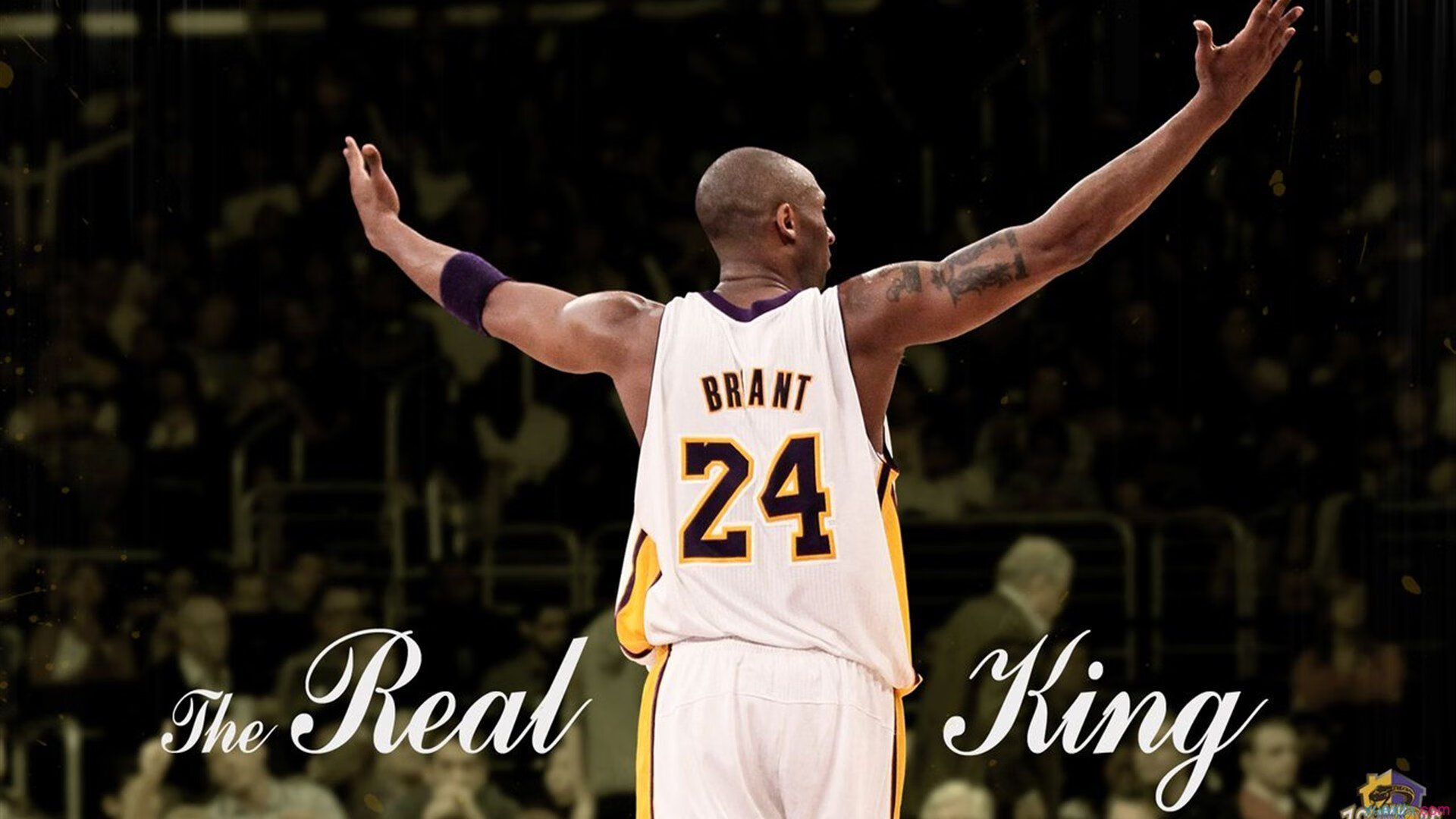 _湖人状态回升,重燃季后赛希望_,湖人重返季后赛